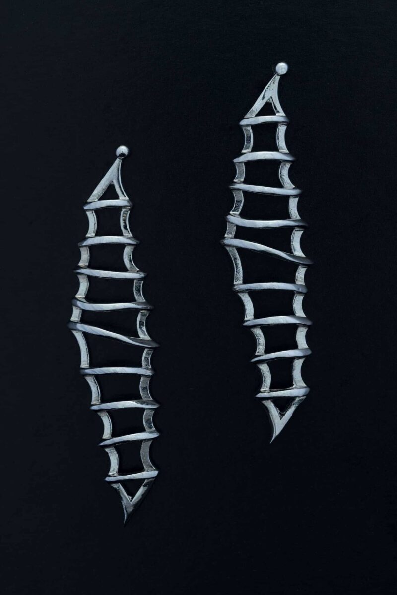 seahorsetail scaled 1.jpg