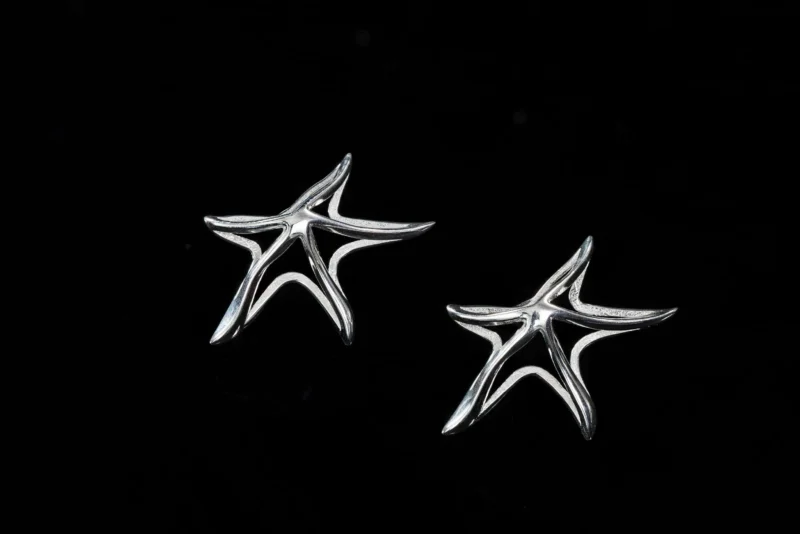 seastarearrings jpg.webp
